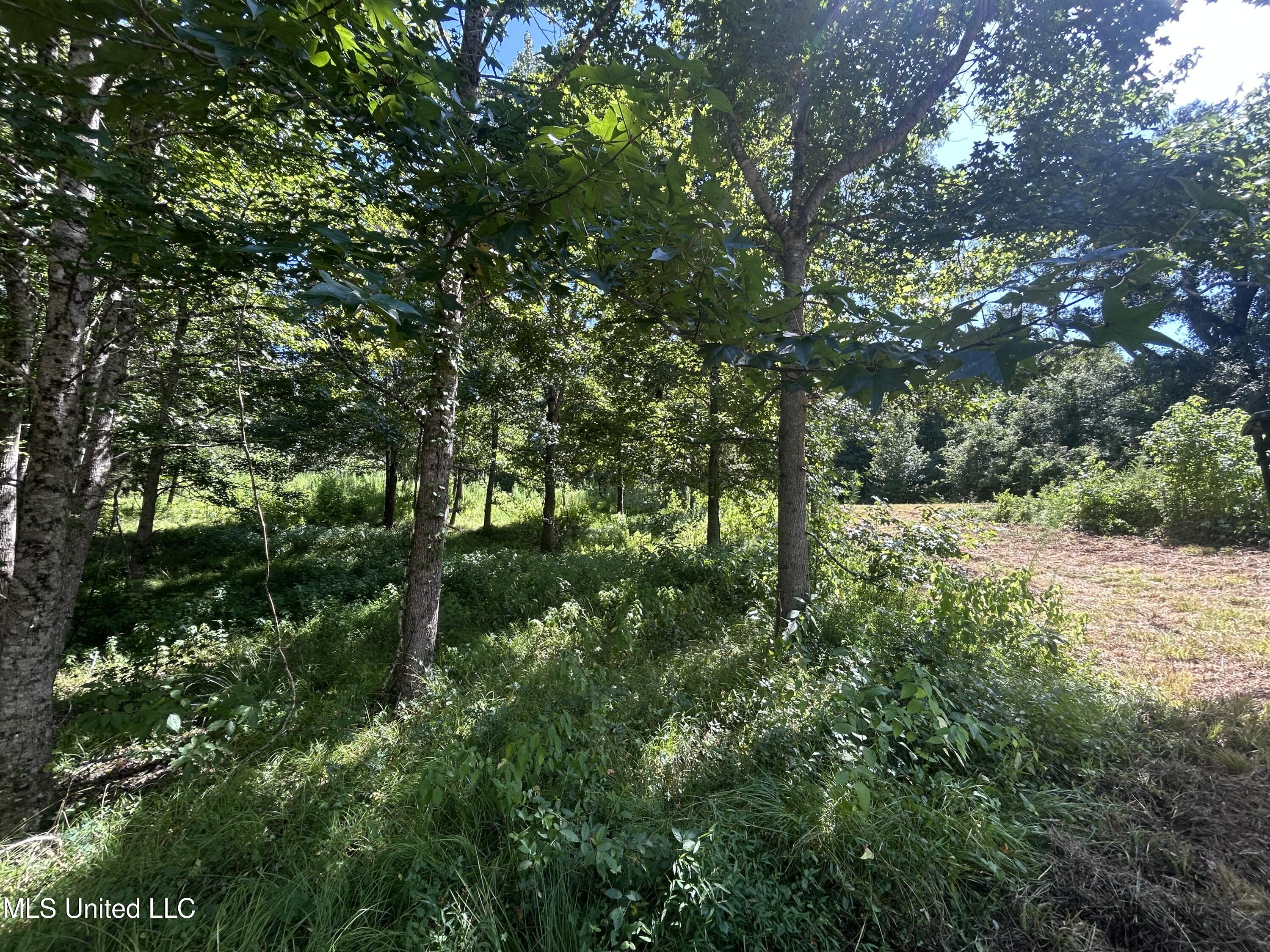 1 Farr Road Edwards, MS 39066 - Photo 67 of 135 IMG_2905