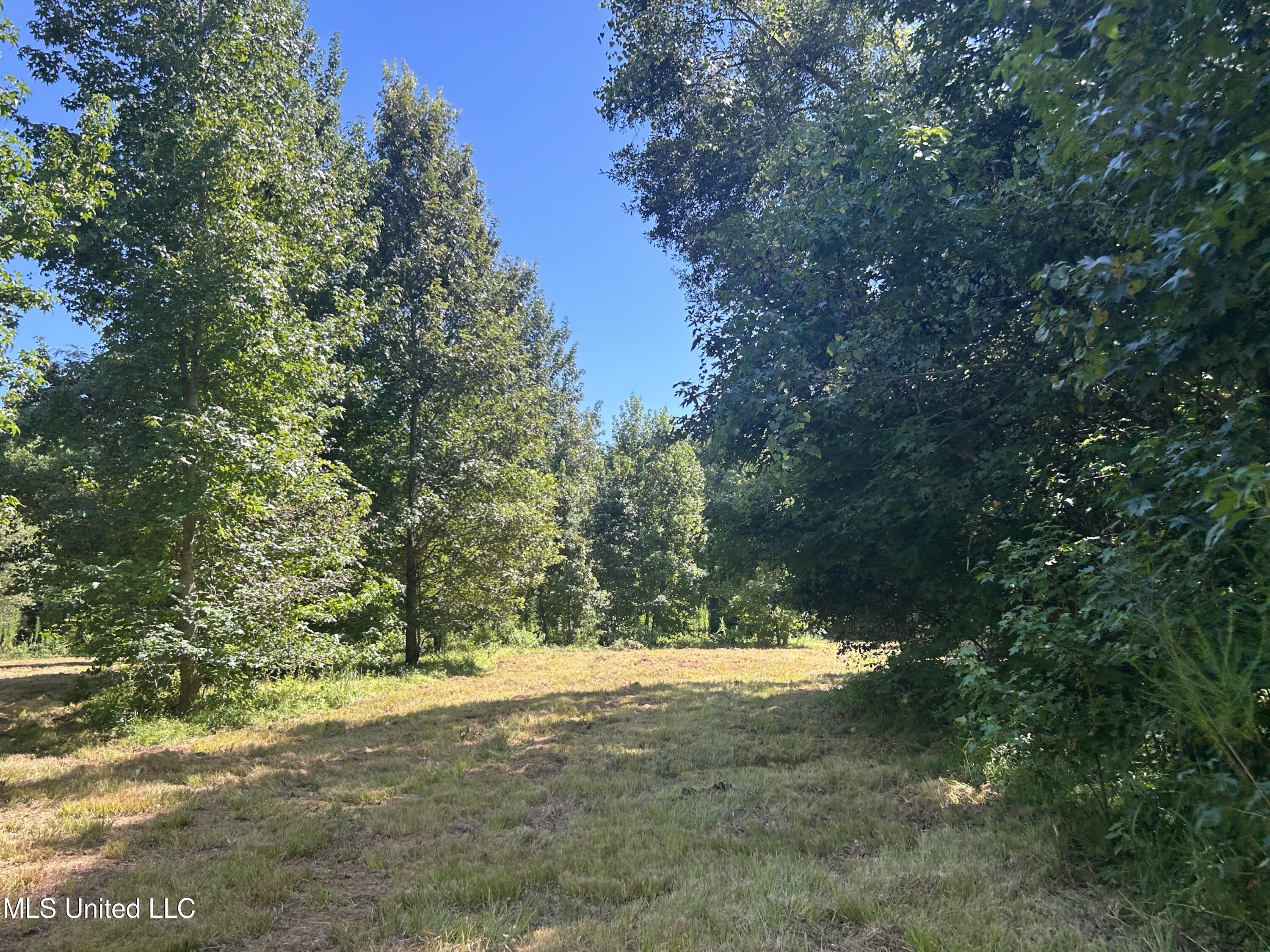 1 Farr Road Edwards, MS 39066 - Photo 68 of 135 IMG_2906