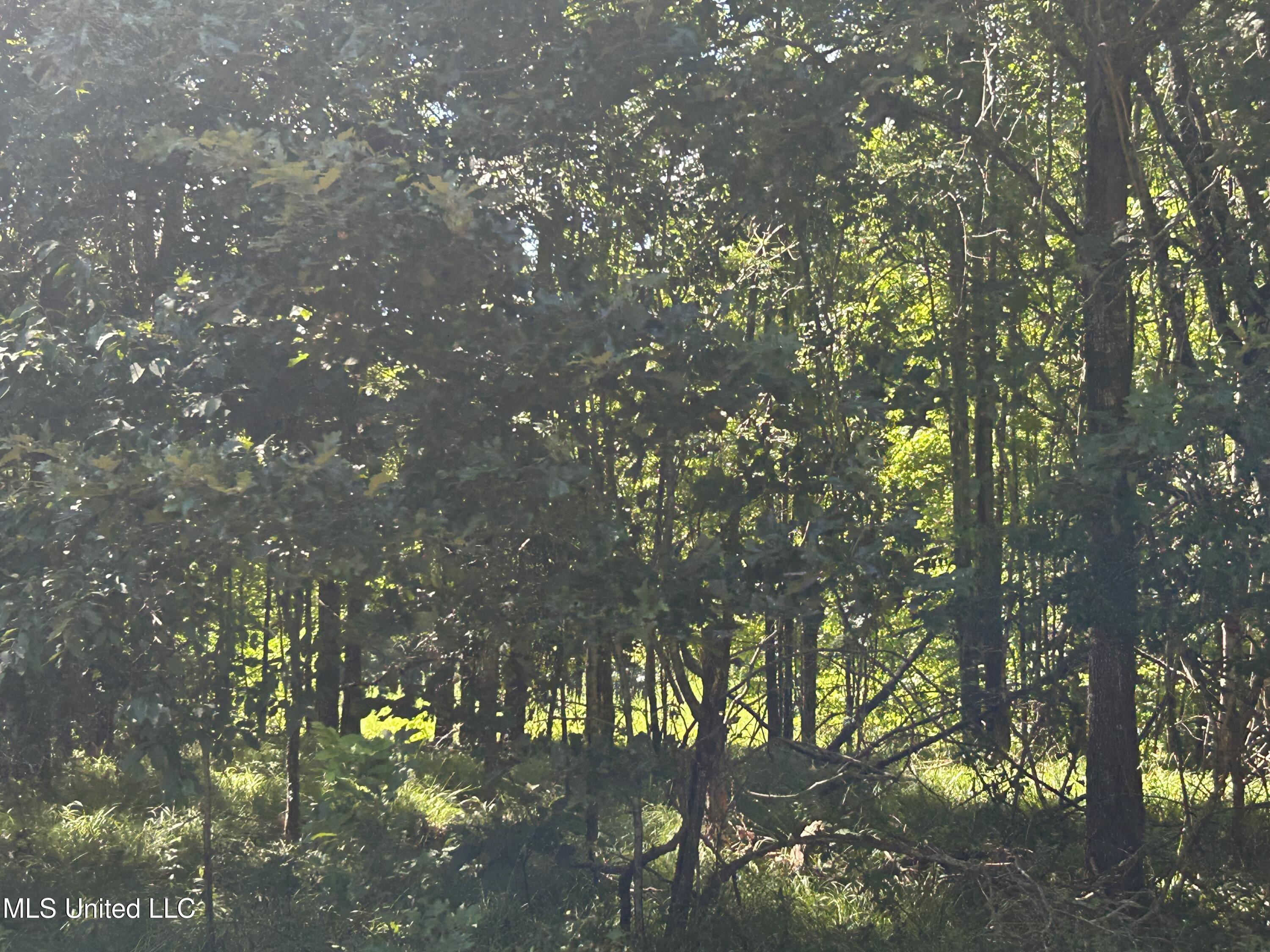 1 Farr Road Edwards, MS 39066 - Photo 70 of 135 IMG_2908