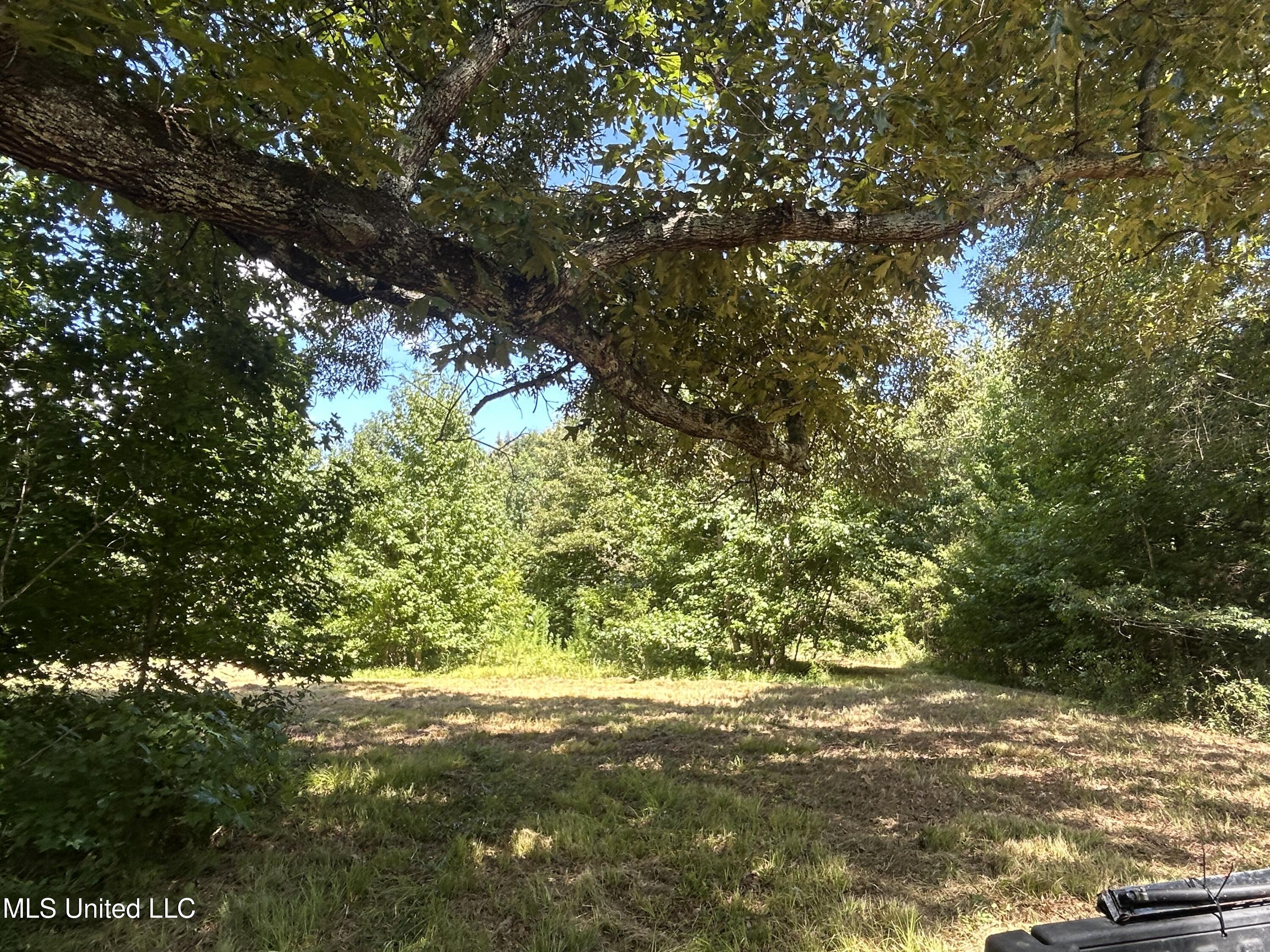 1 Farr Road Edwards, MS 39066 - Photo 71 of 135 IMG_2909