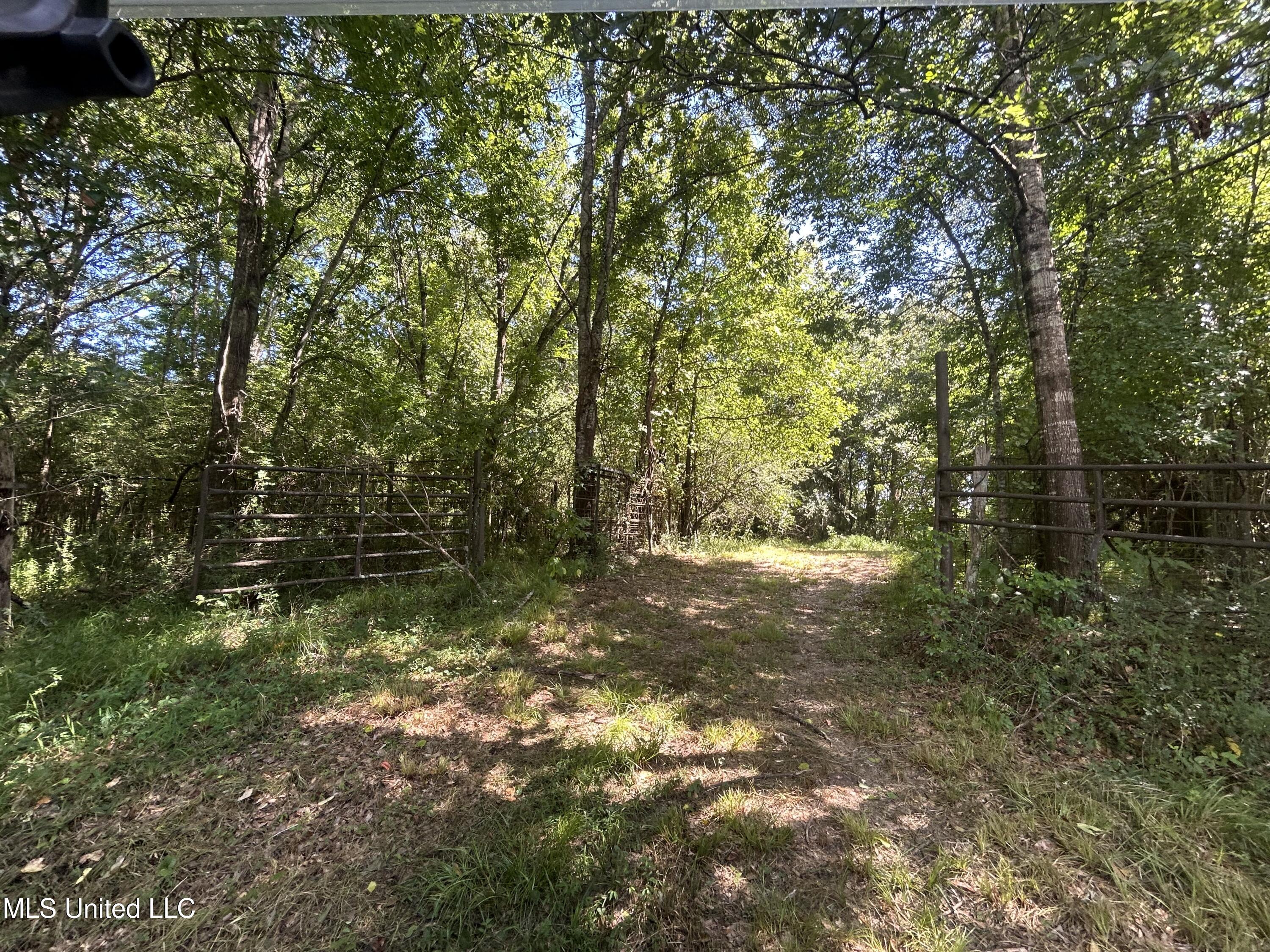 1 Farr Road Edwards, MS 39066 - Photo 72 of 135 IMG_2910