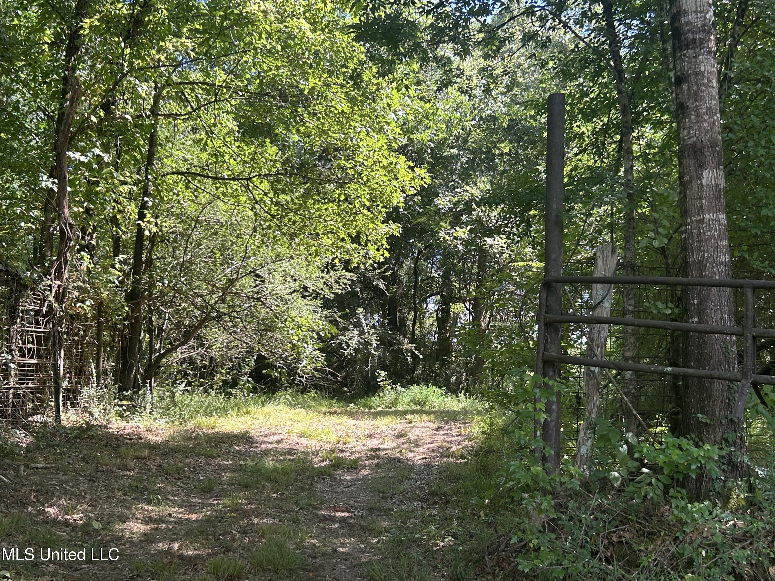 1 Farr Road Edwards, MS 39066 - Photo 73 of 135 IMG_2911