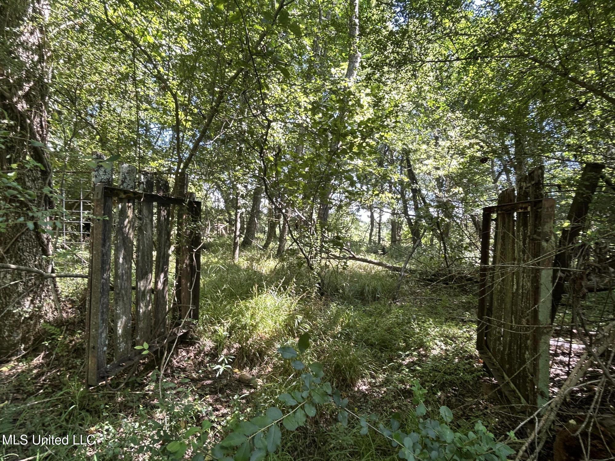 1 Farr Road Edwards, MS 39066 - Photo 74 of 135 IMG_2913