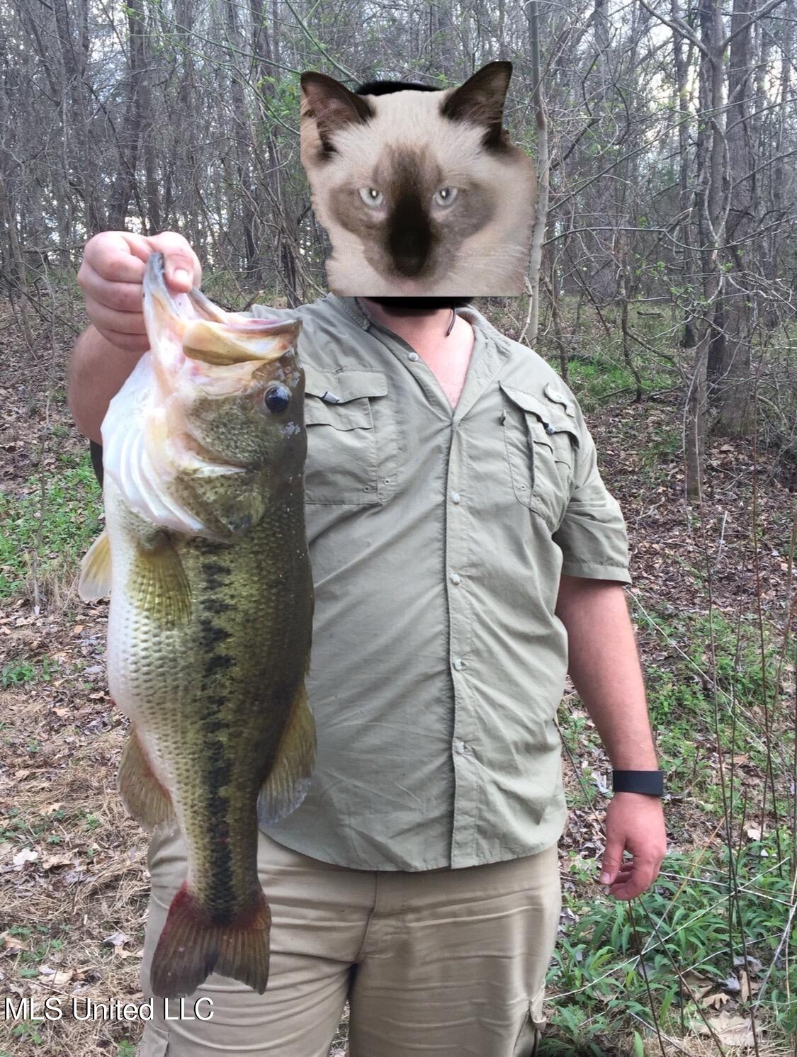 1 Farr Road Edwards, MS 39066 - Photo 75 of 135 IMG_8979