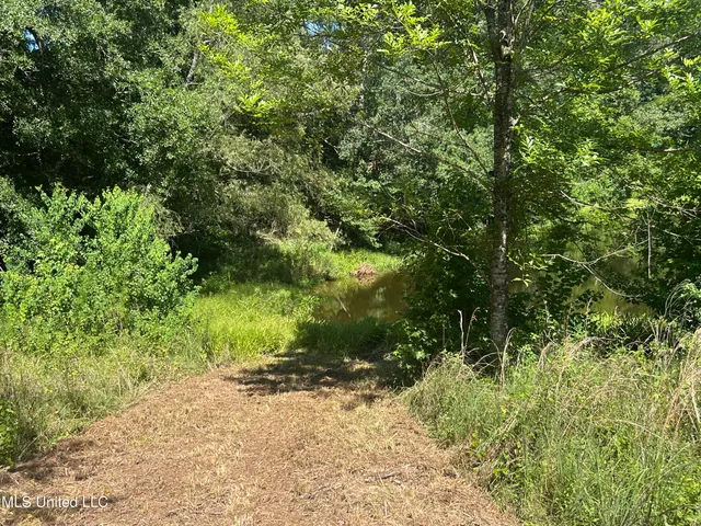 $499,450 | 1 Farr Road, Edwards, MS 39066