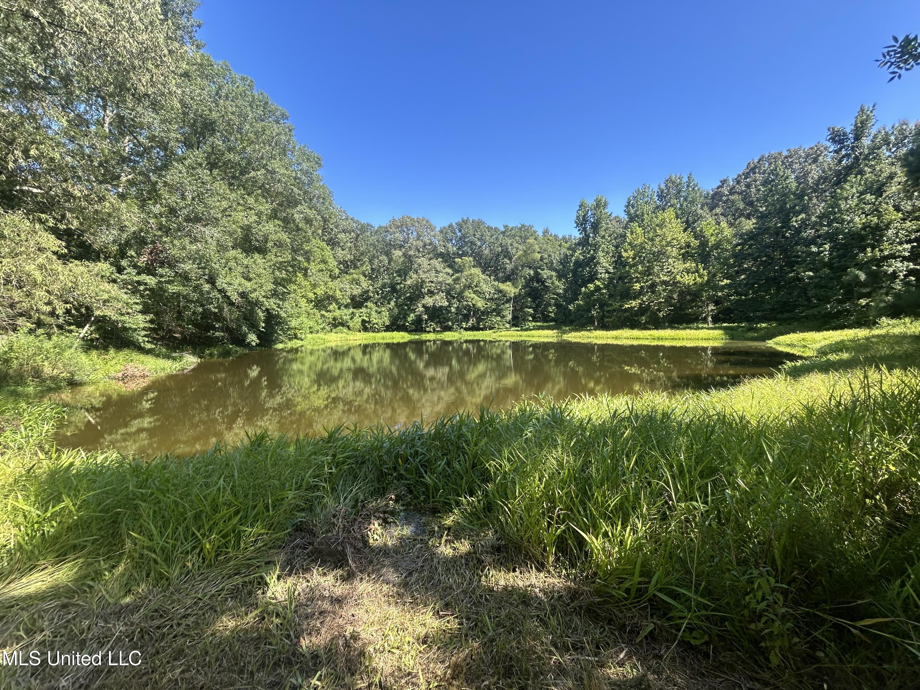 1 Farr Road Edwards, MS 39066 - Photo 77 of 135 IMG_2916