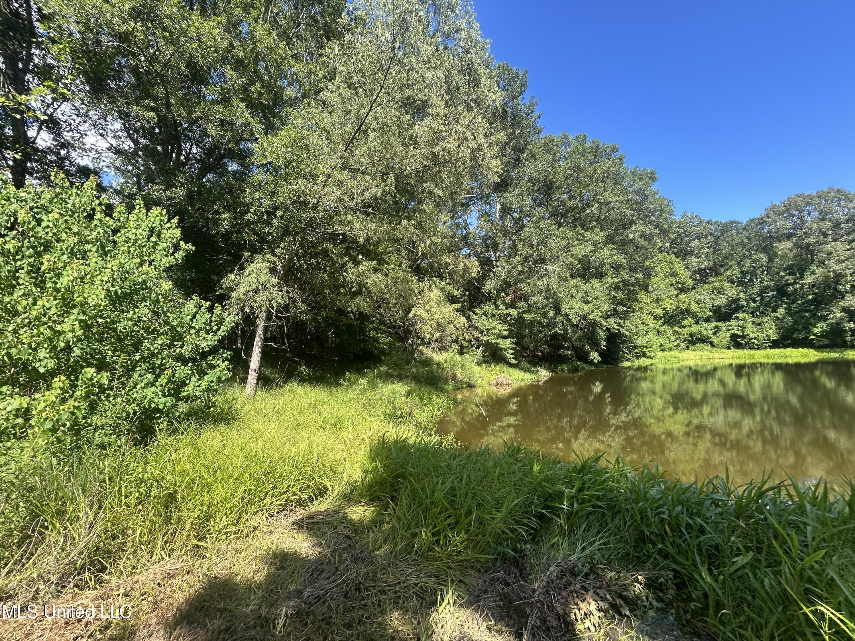 1 Farr Road Edwards, MS 39066 - Photo 79 of 135 IMG_2917