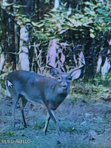 $499,450 | 1 Farr Road, Edwards, MS 39066