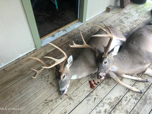 $499,450 | 1 Farr Road, Edwards, MS 39066