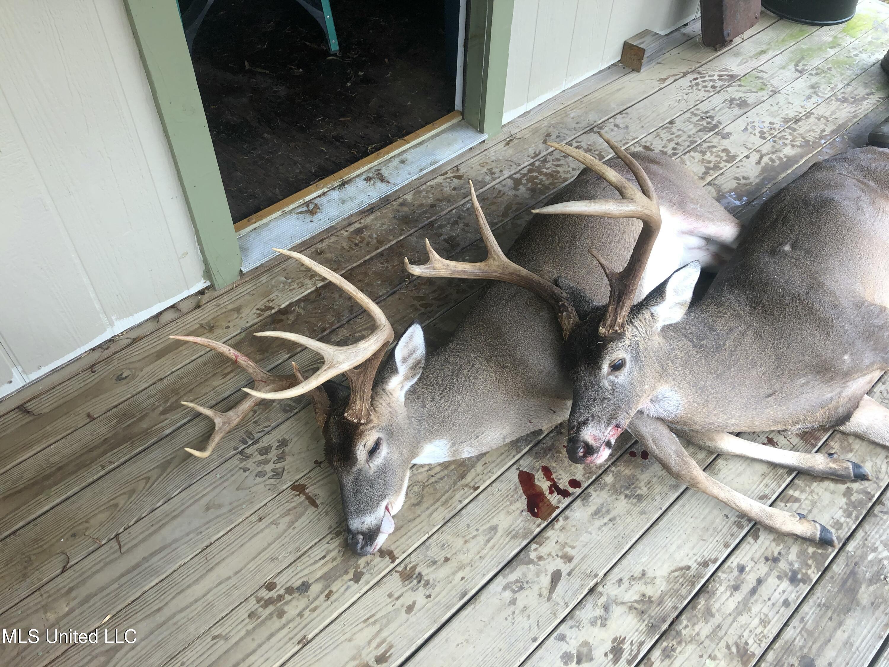 1 Farr Road Edwards, MS 39066 - Photo 8 of 135 IMG_8869