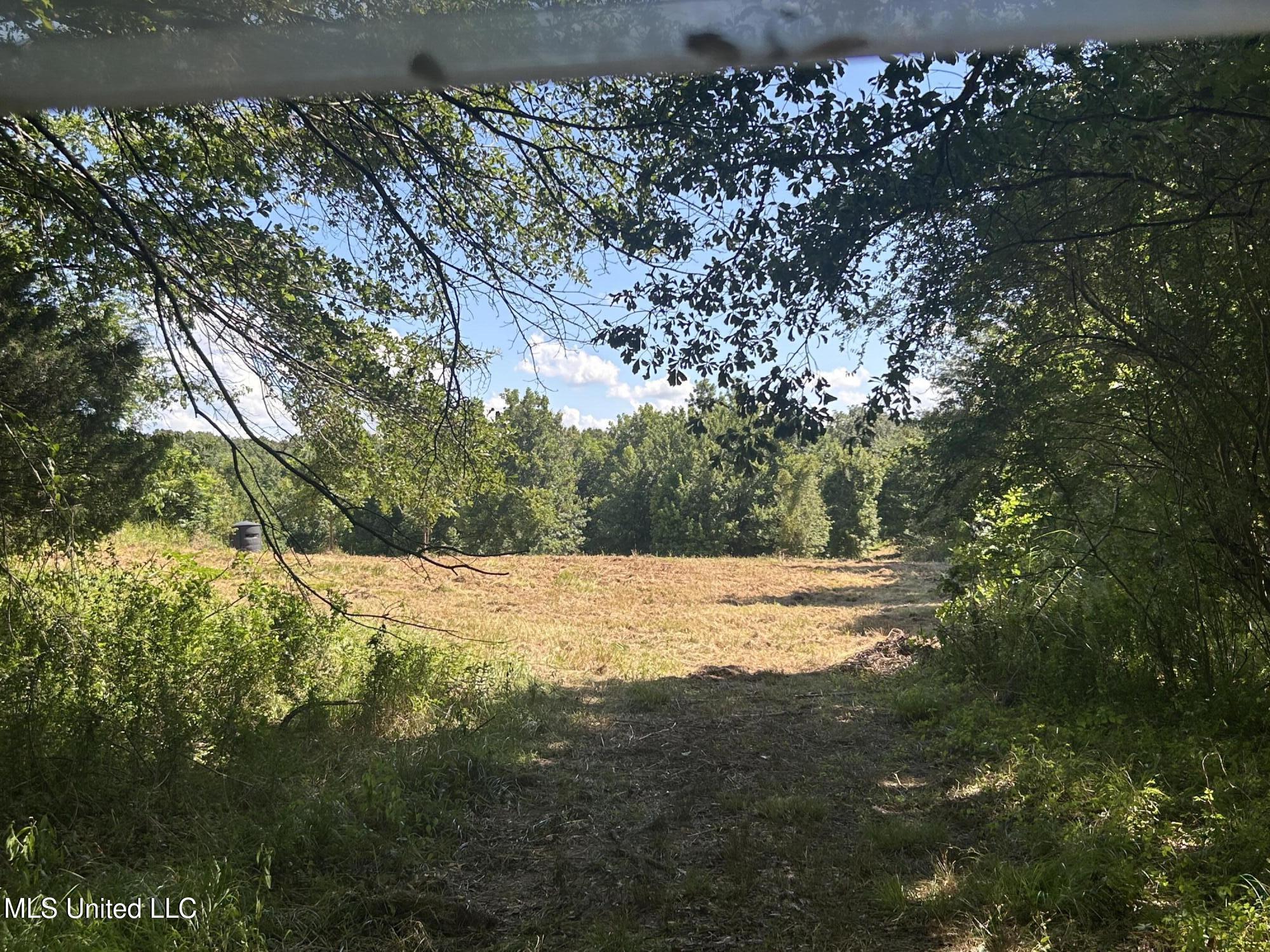 1 Farr Road Edwards, MS 39066 - Photo 81 of 135 IMG_2918