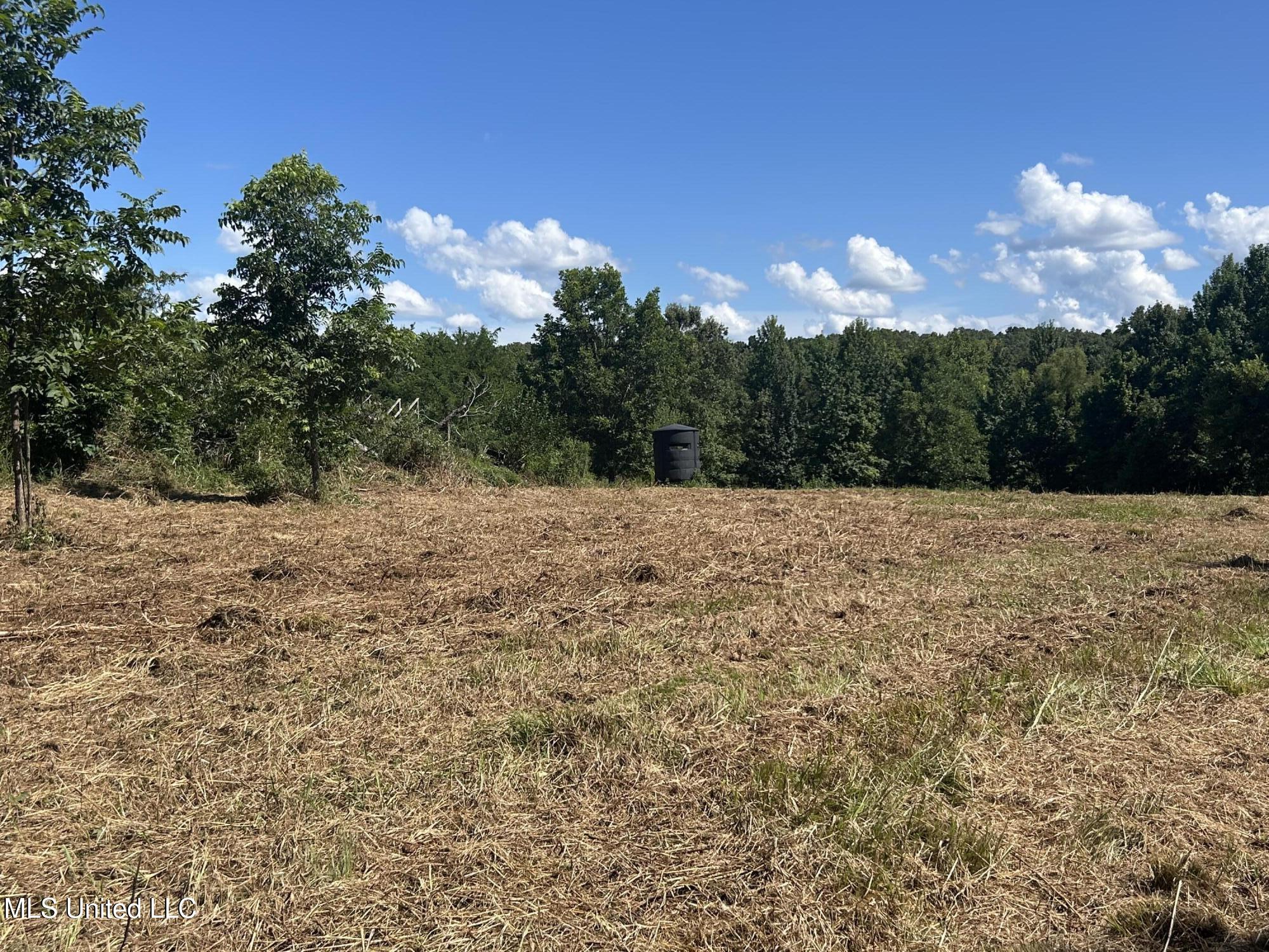 1 Farr Road Edwards, MS 39066 - Photo 82 of 135 IMG_2919