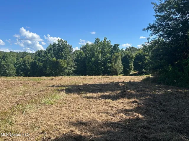 $499,450 | 1 Farr Road, Edwards, MS 39066