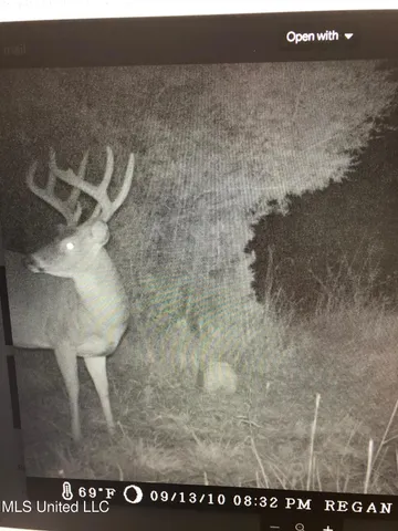 $499,450 | 1 Farr Road, Edwards, MS 39066