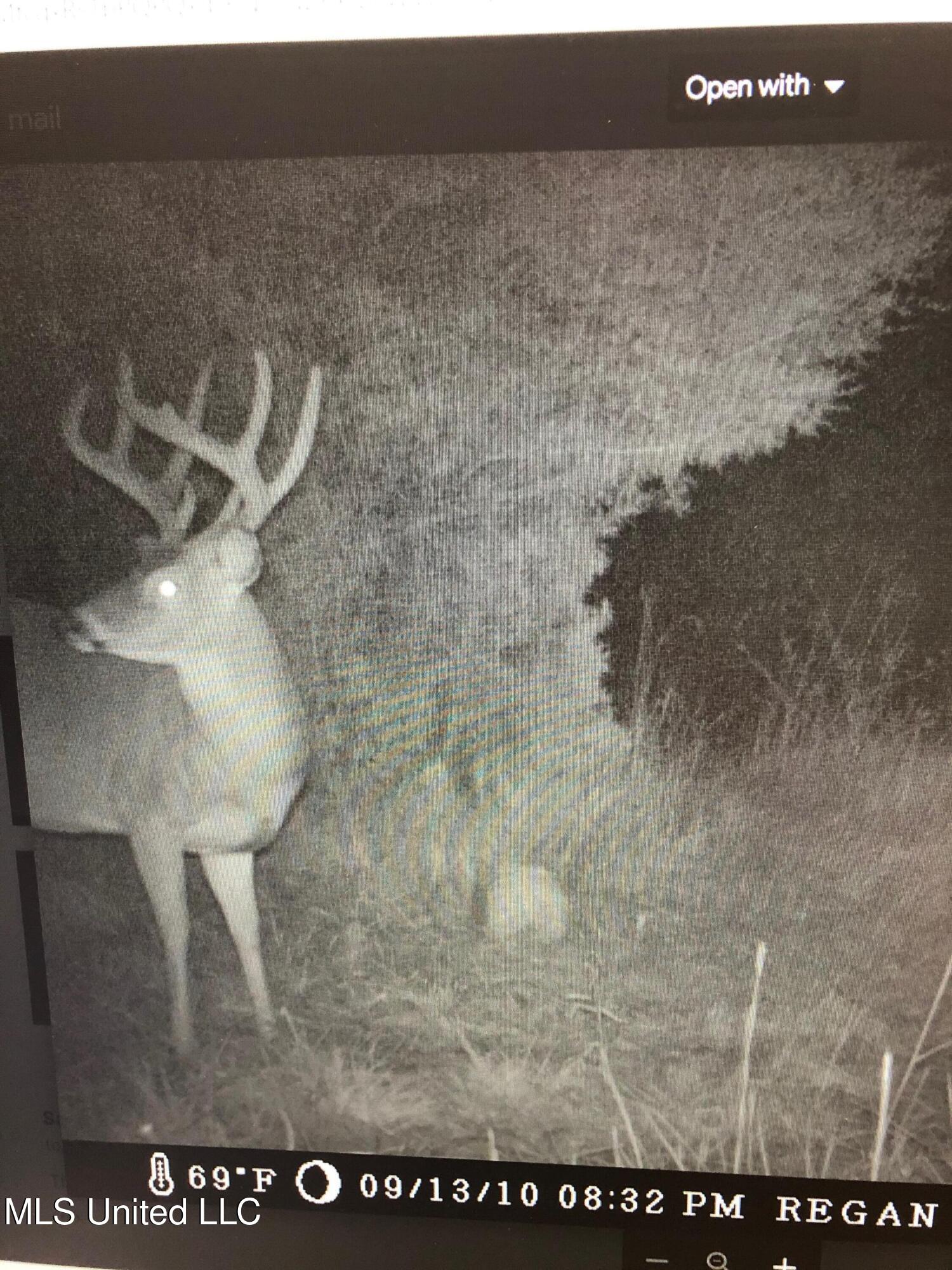 1 Farr Road Edwards, MS 39066 - Photo 85 of 135 IMG_8901