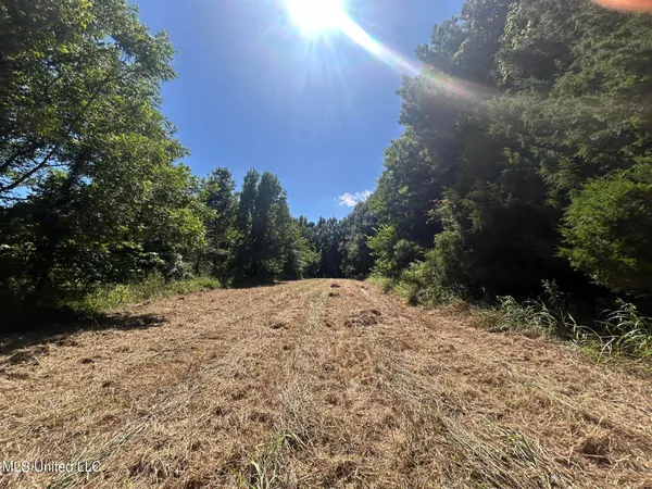 $499,450 | 1 Farr Road, Edwards, MS 39066