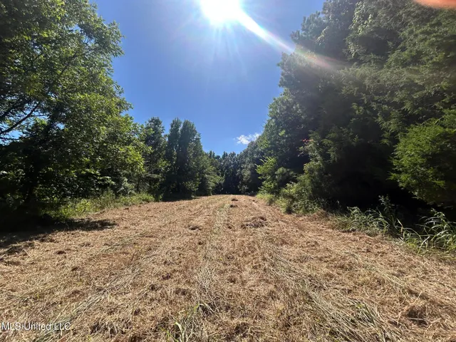 $499,450 | 1 Farr Road, Edwards, MS 39066