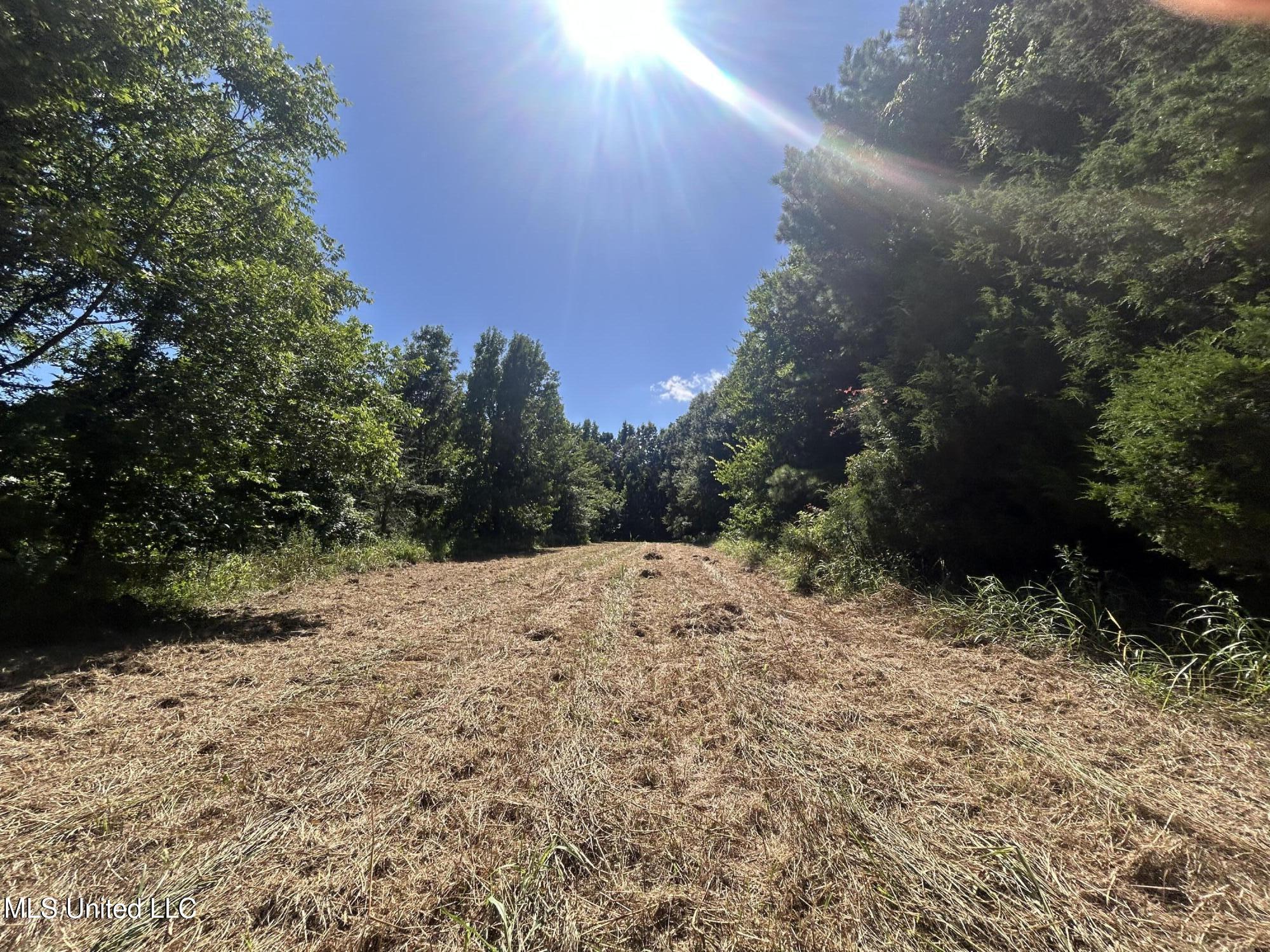 1 Farr Road Edwards, MS 39066 - Photo 86 of 135 IMG_2922