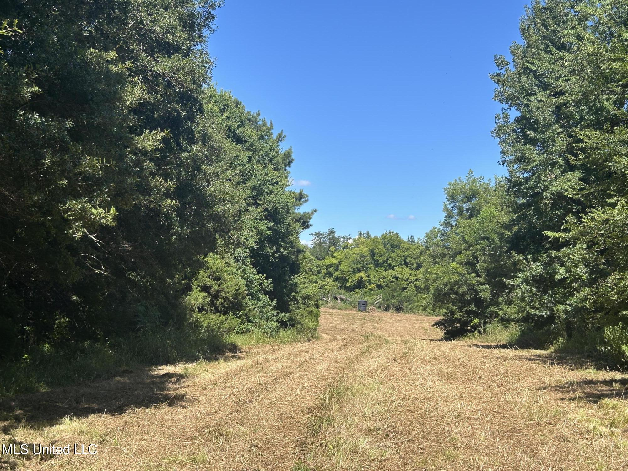 1 Farr Road Edwards, MS 39066 - Photo 87 of 135 IMG_2923