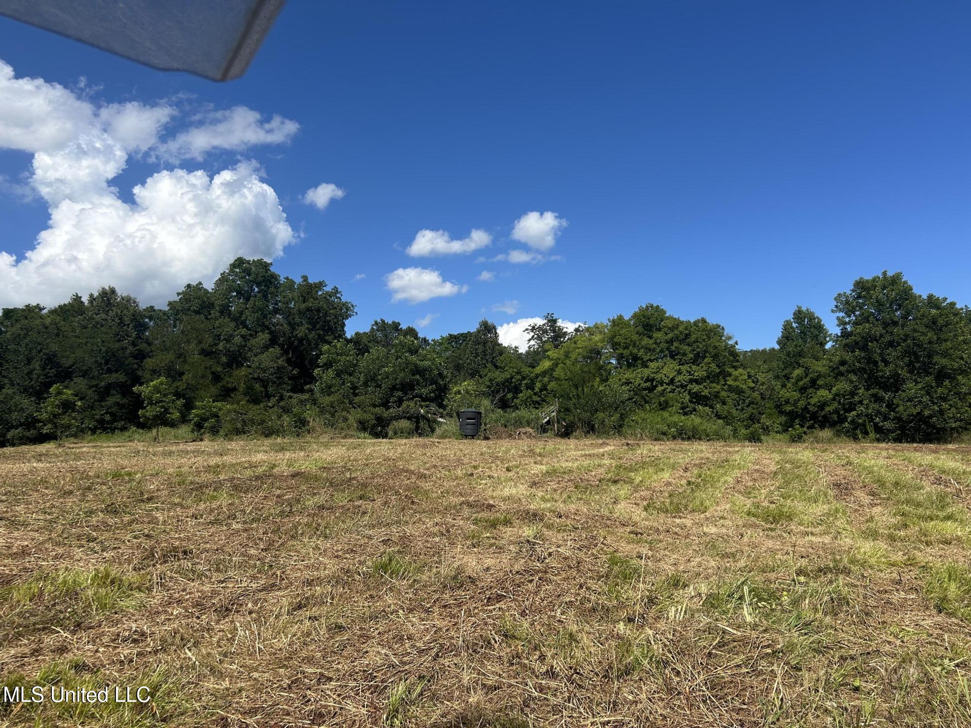 1 Farr Road Edwards, MS 39066 - Photo 88 of 135 IMG_2924