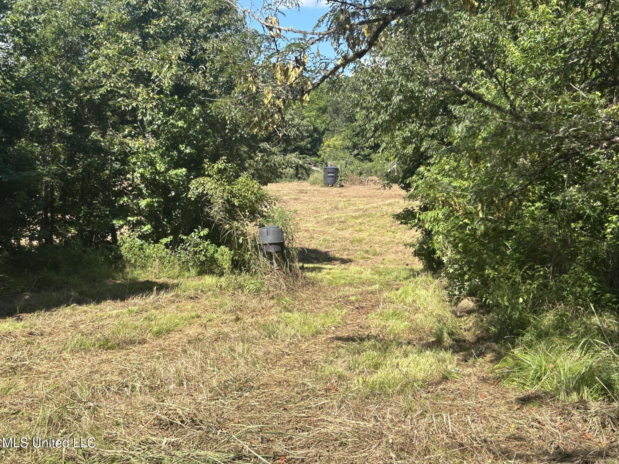 1 Farr Road Edwards, MS 39066 - Photo 90 of 135 IMG_2926