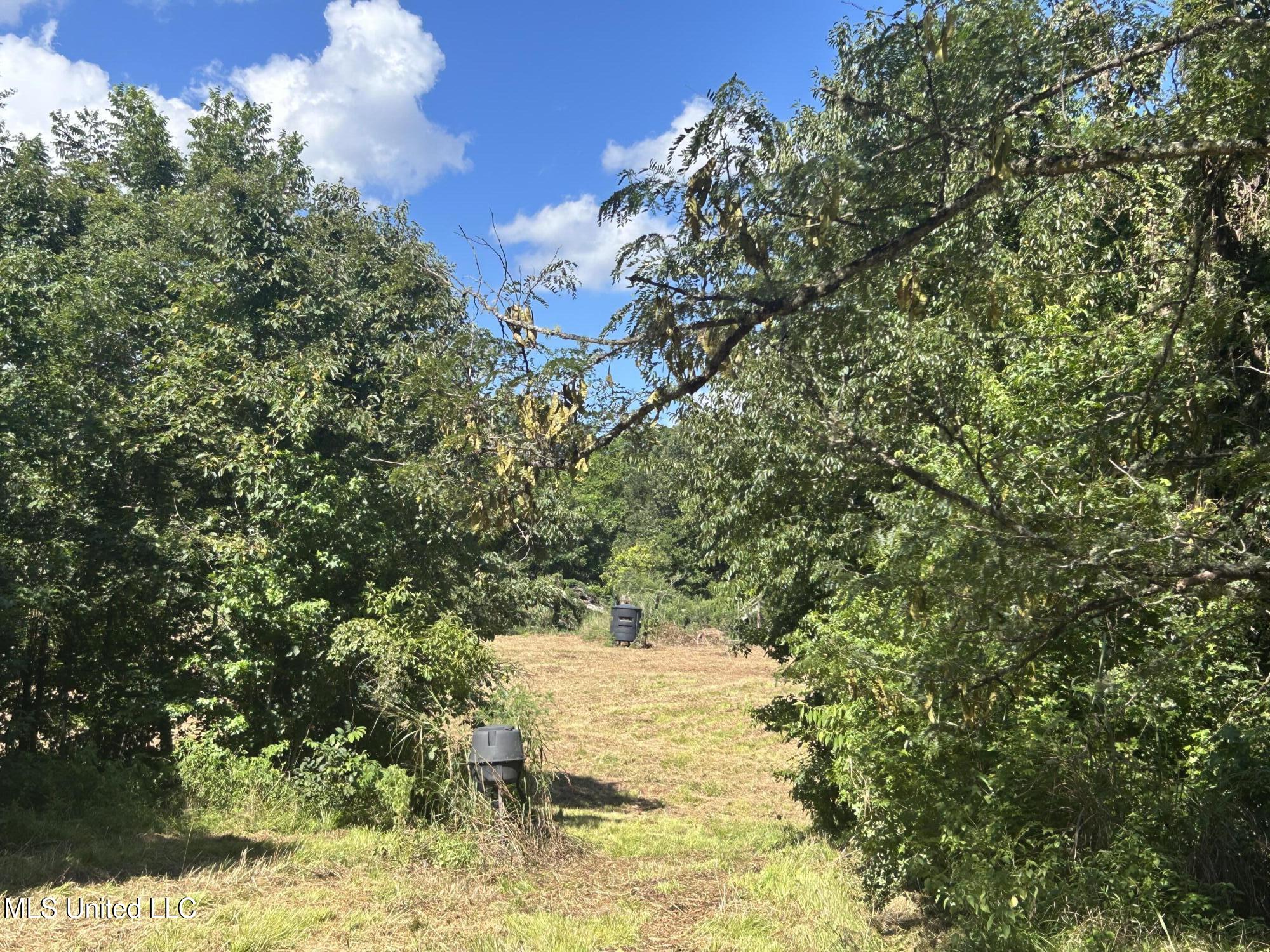 1 Farr Road Edwards, MS 39066 - Photo 91 of 135 IMG_2927