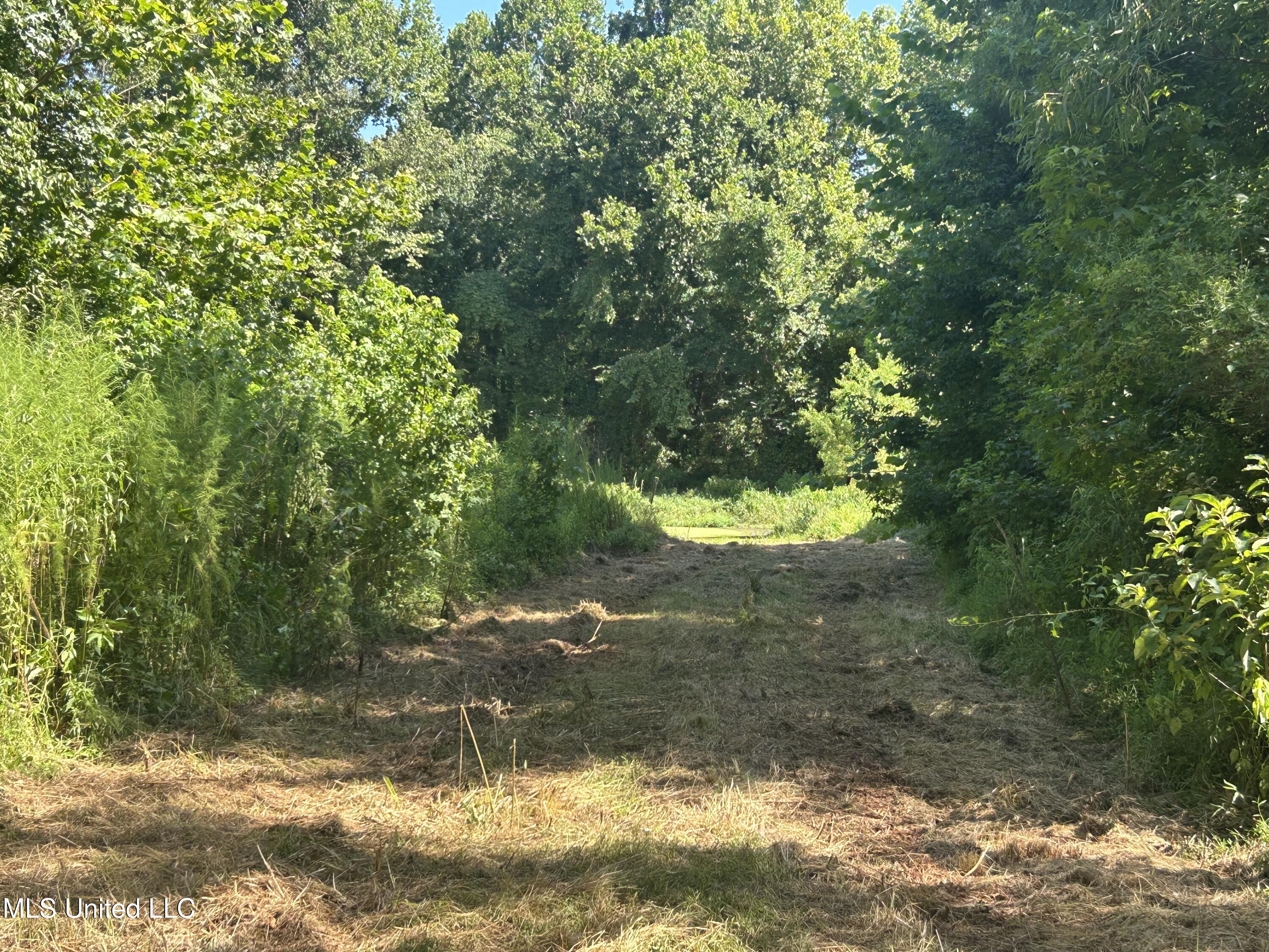 1 Farr Road Edwards, MS 39066 - Photo 92 of 135 IMG_2928