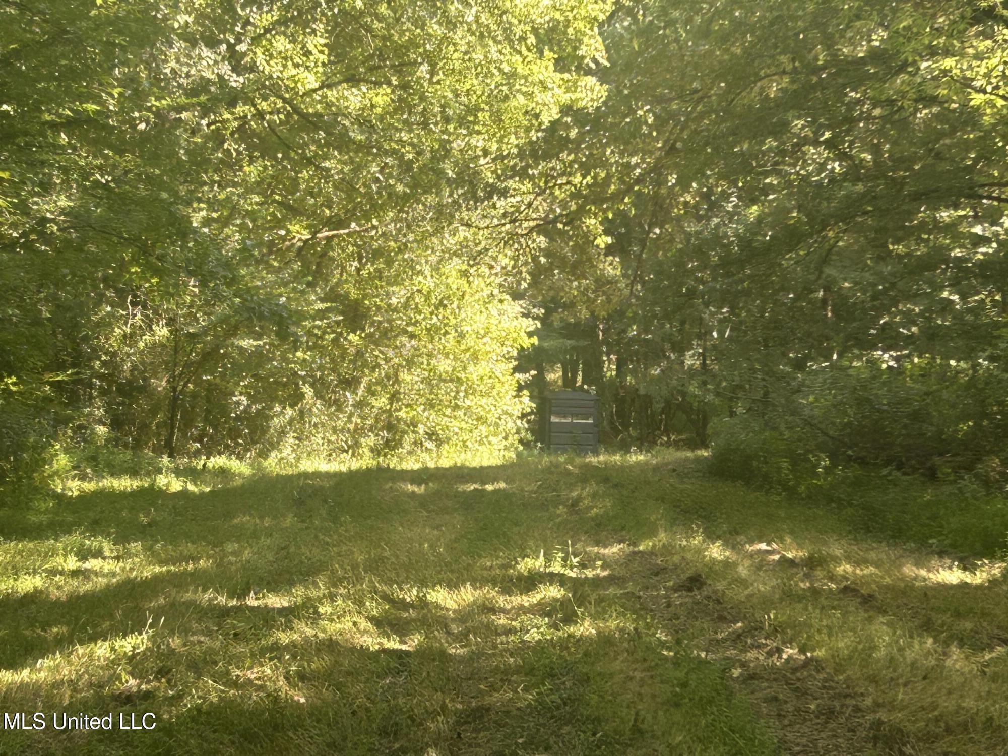 1 Farr Road Edwards, MS 39066 - Photo 94 of 135 IMG_2930