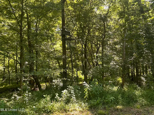 $499,450 | 1 Farr Road, Edwards, MS 39066