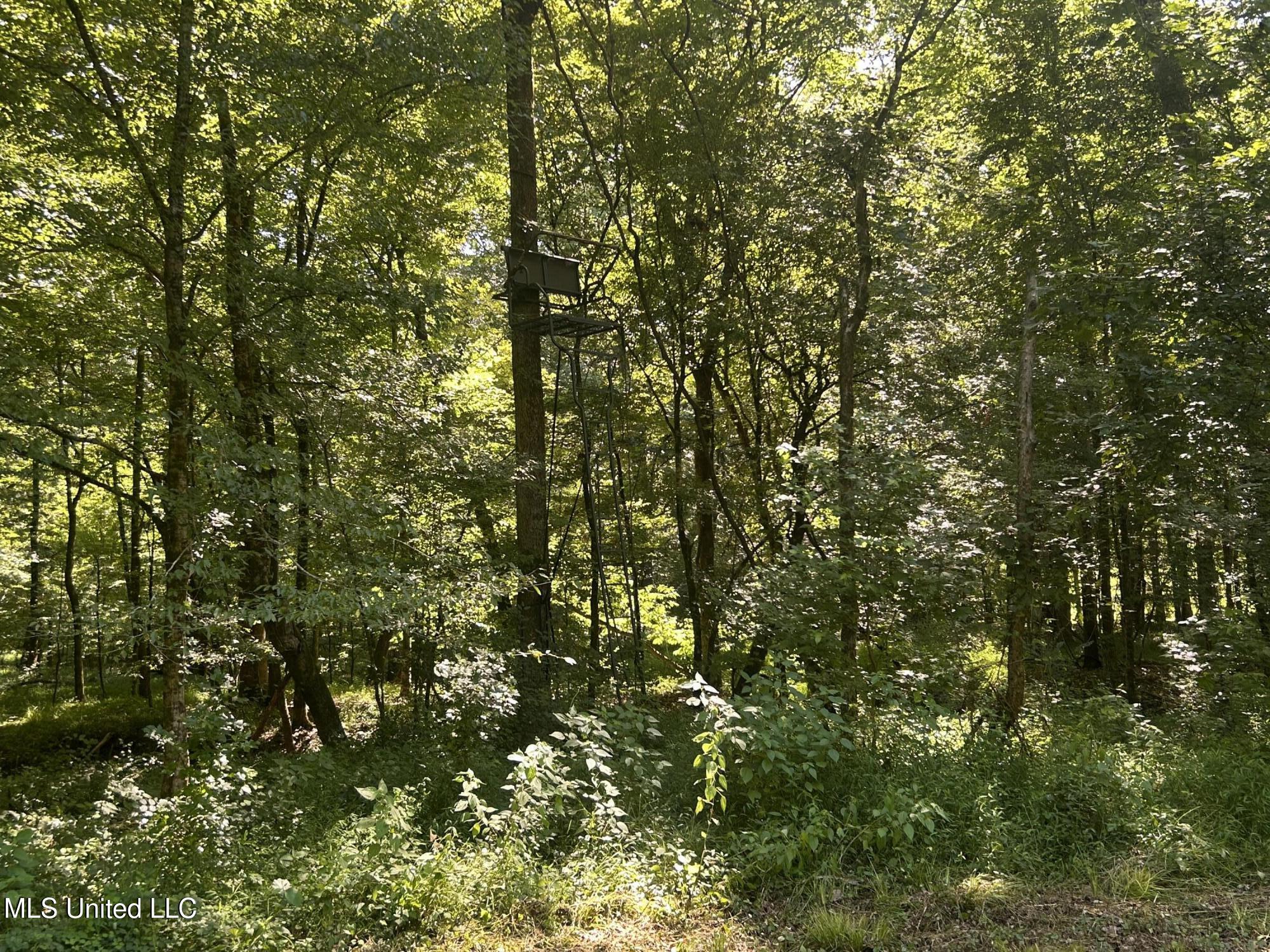 1 Farr Road Edwards, MS 39066 - Photo 97 of 135 IMG_2933