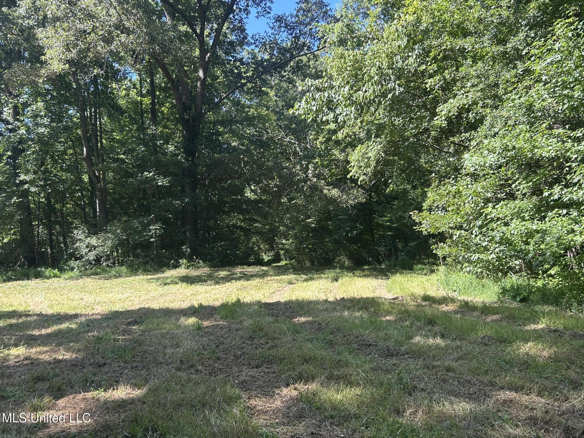 1 Farr Road Edwards, MS 39066 - Photo 98 of 135 IMG_2934