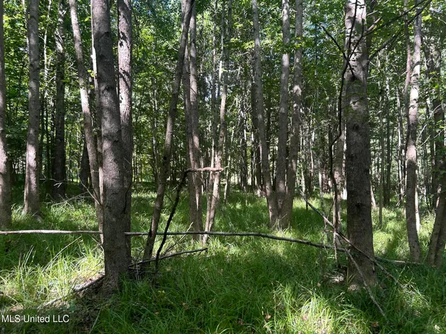 $499,450 | 1 Farr Road, Edwards, MS 39066