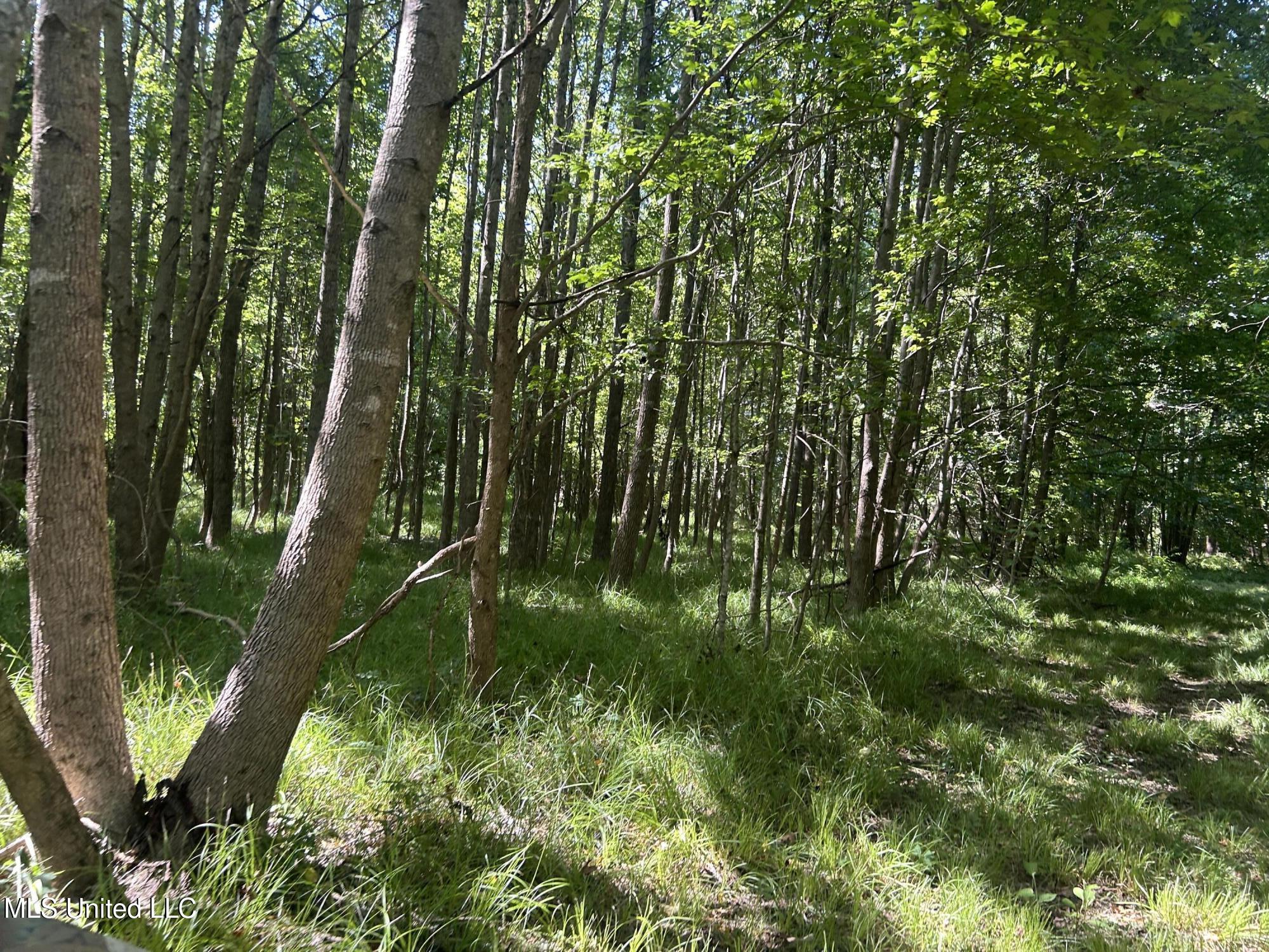 1 Farr Road Edwards, MS 39066 - Photo 100 of 135 IMG_2936