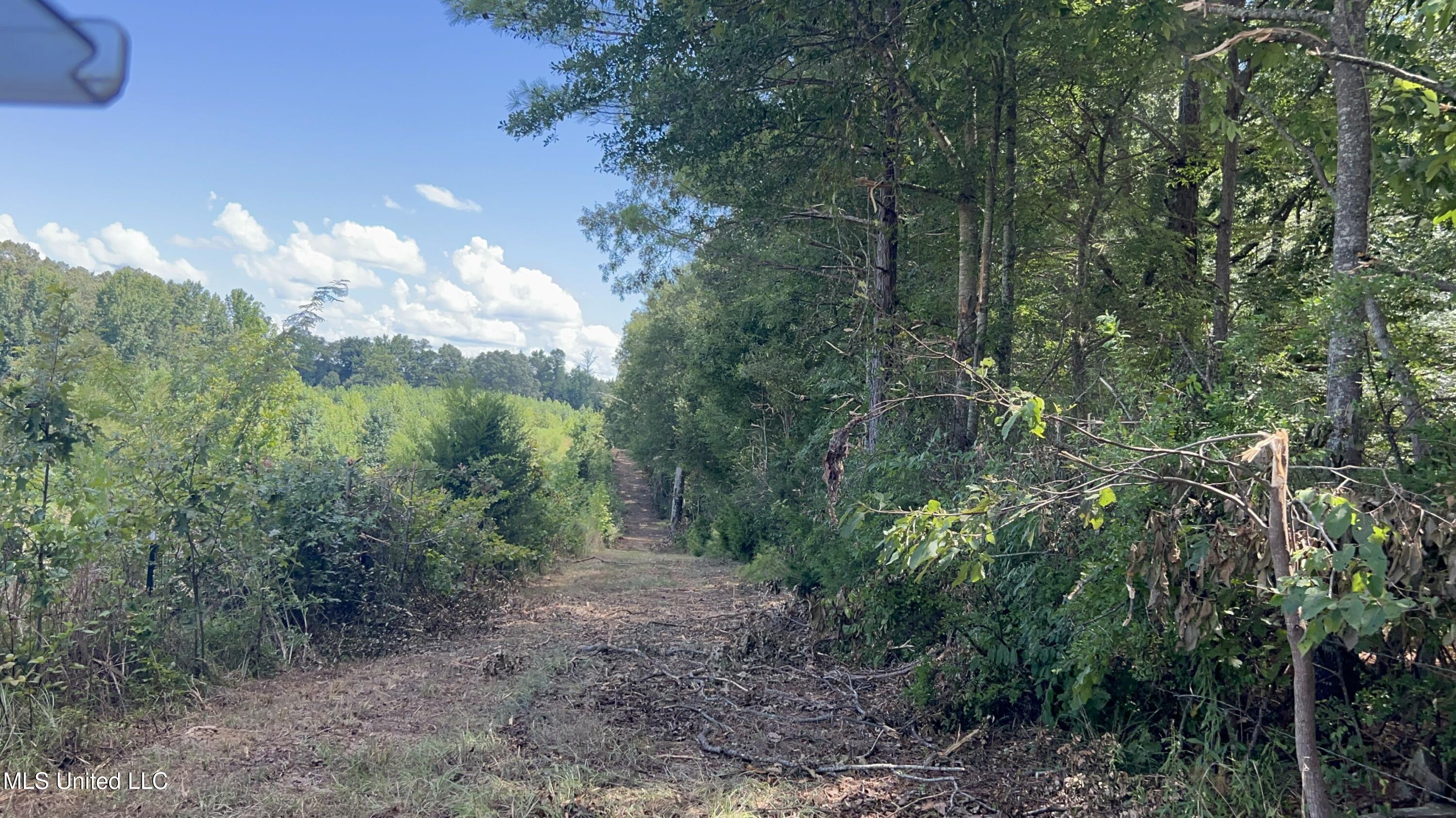 1 Farr Road Edwards, MS 39066 - Photo 10 of 135 IMG_2839