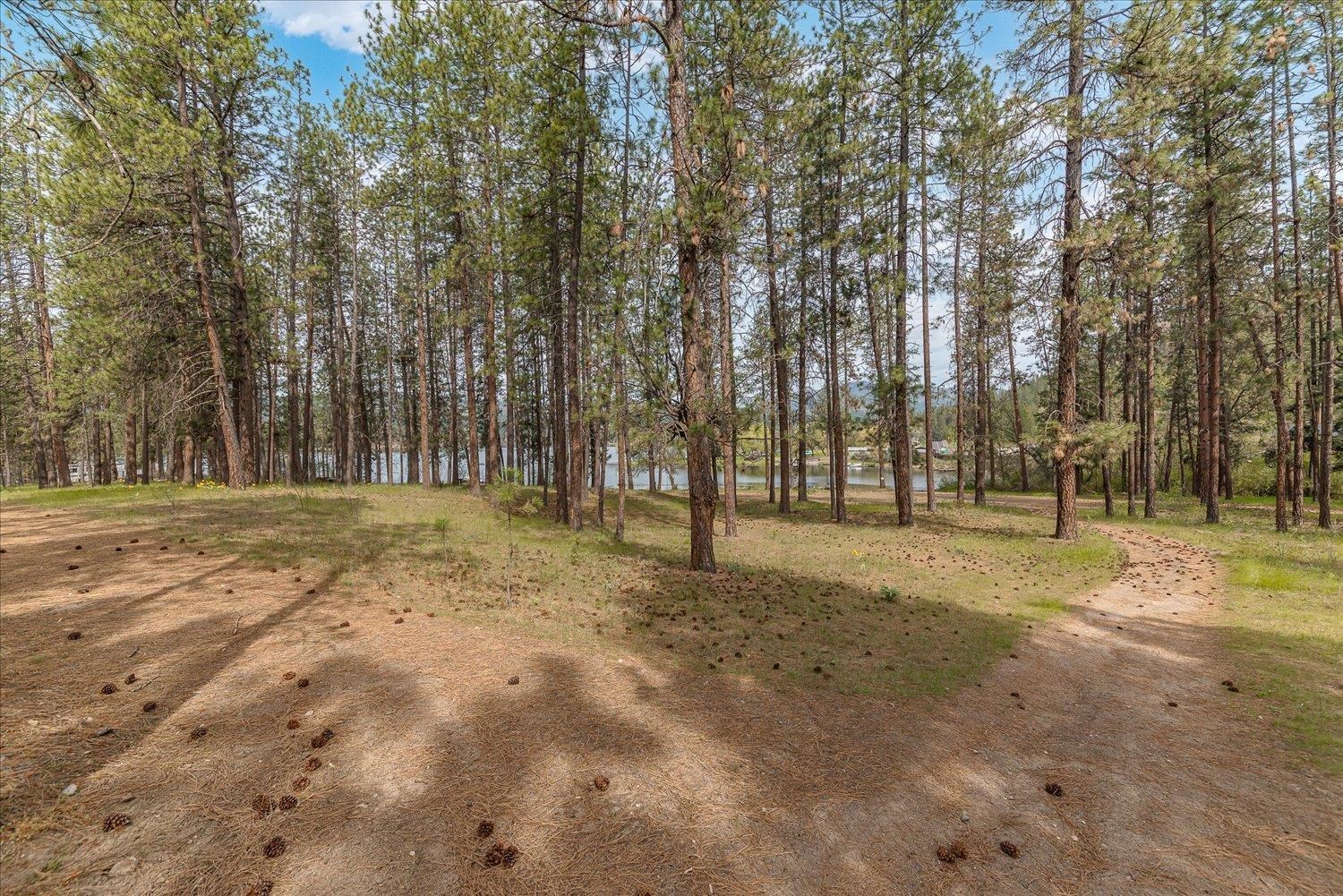 6480 Stone Lodge Road Nine Mile Falls, WA 99026 - Photo 42 of 50 Gallery Image 42