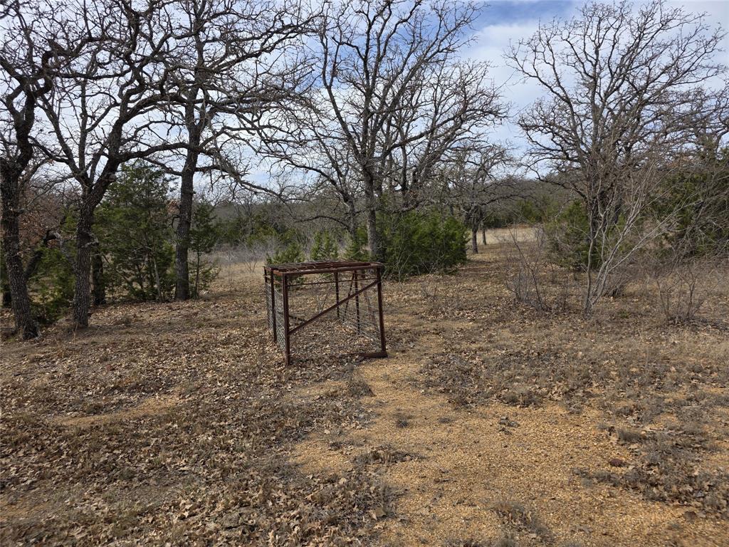 4451 Farm To Market 585 Bangs, TX 76823 - Photo 29 of 40 a view of a bench in a forest