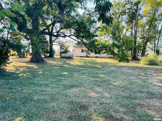 a view of a field with trees in the background