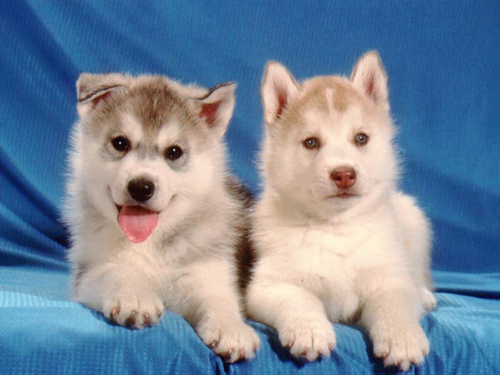 177 Eastern Avenue, Unit 301 Manchester, NH 03104 - Photo 42 of 50