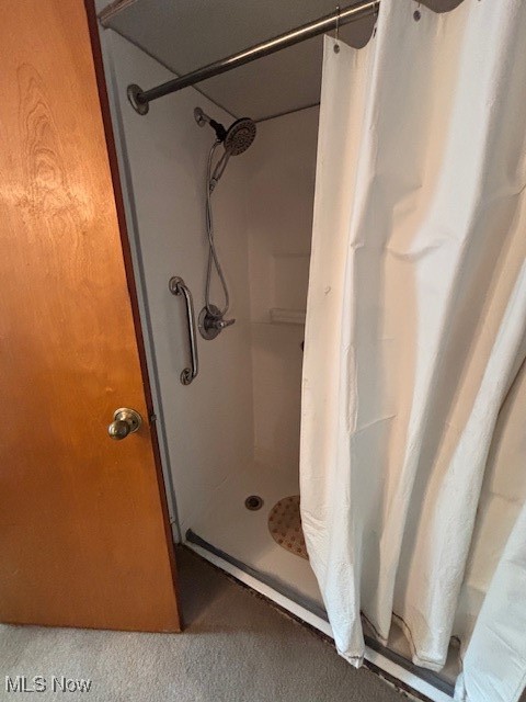 1445 East County Line Road Mineral Ridge, OH 44440 - Photo 17 of 30 1st floor Bathroom featuring a walk-in shower