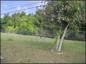 1317 South Stetson Cocoa, FL 32922 - Photo 12 of 12 Additional Photo