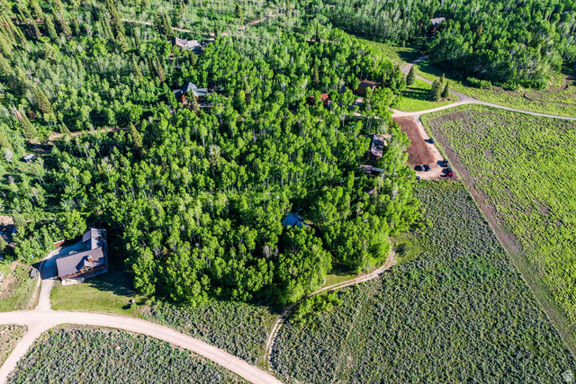 0 Weber Wild Road, Unit MV29 Kamas, UT 84036 - Photo 49 of 62