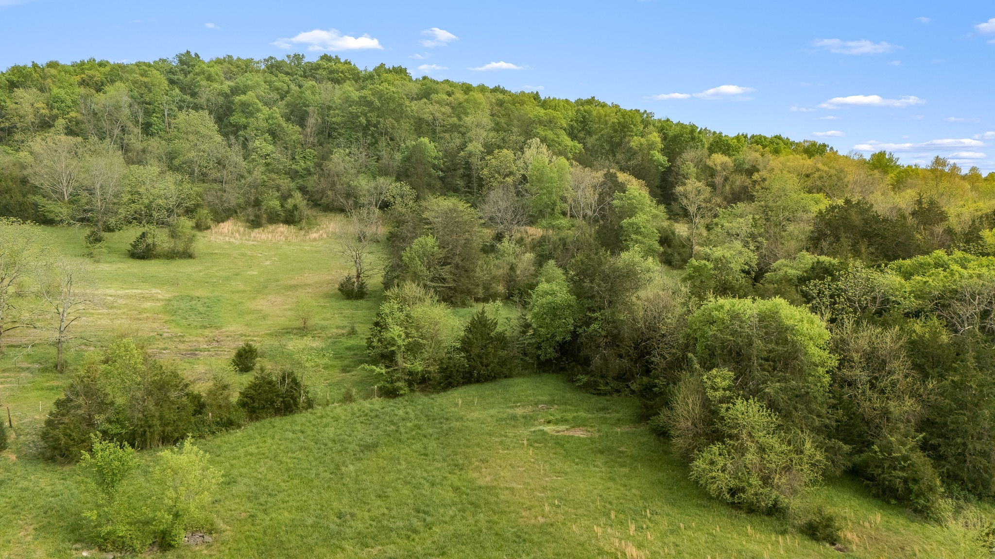 1036 Locke Creek Road Readyville, TN 37149 - Photo 8 of 18 a view of a yard