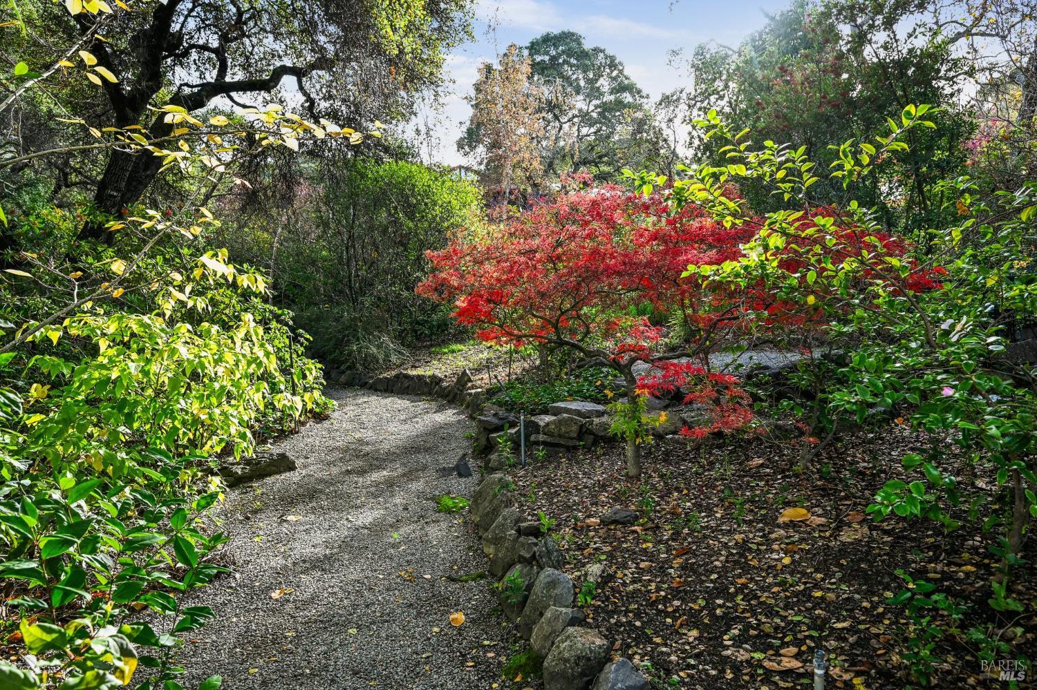 5 Maoli Drive San Rafael, CA 94903 - Photo 68 of 74