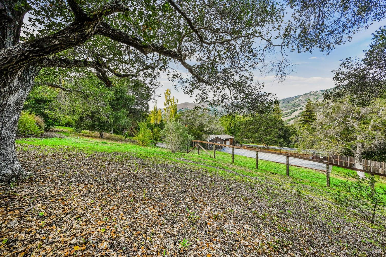 5 Maoli Drive San Rafael, CA 94903 - Photo 69 of 74 a view of green field with trees