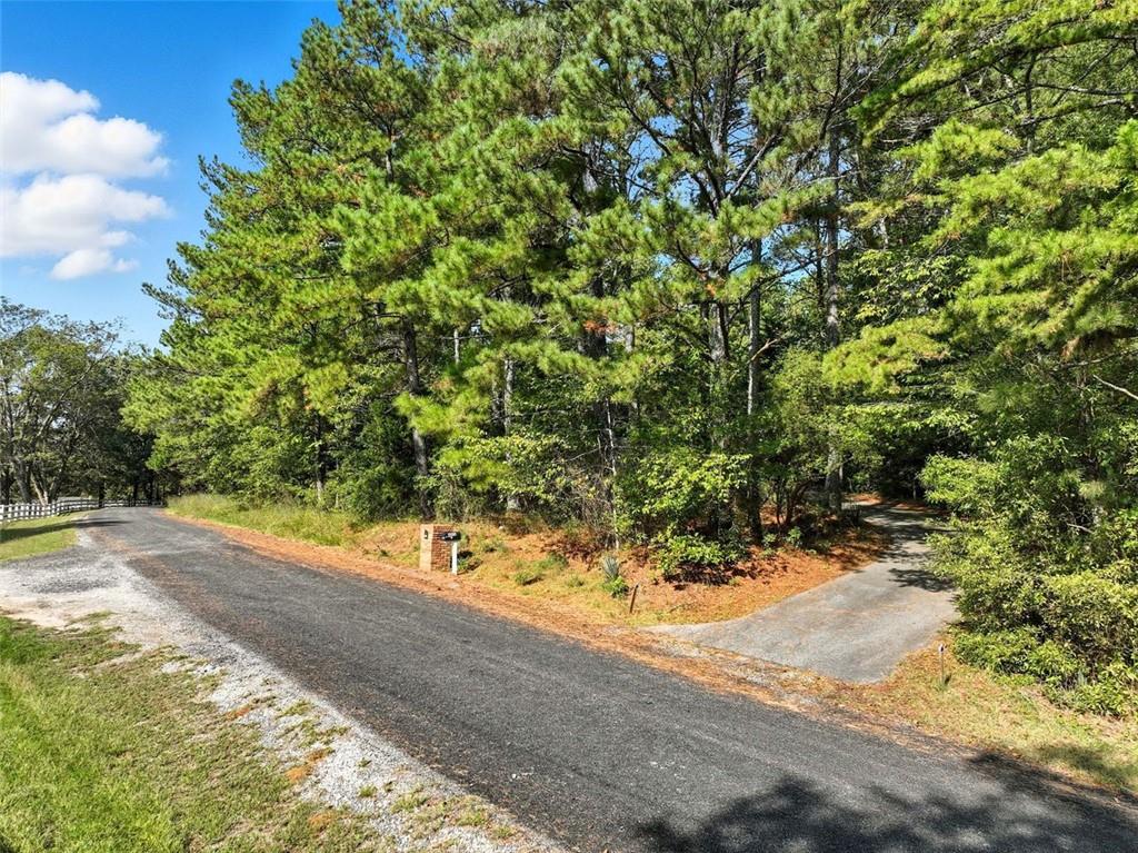 3170 Wages Circle Dacula, GA 30019 - Photo 34 of 39 a view of a yard with an tree