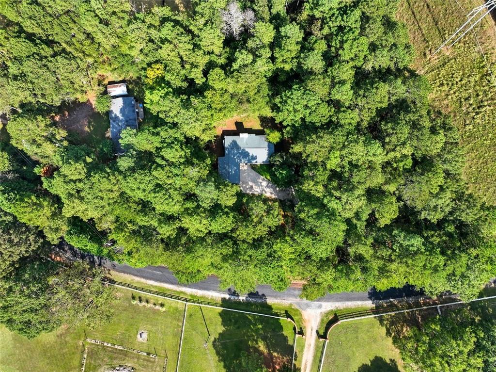 3170 Wages Circle Dacula, GA 30019 - Photo 35 of 39 a view of a yard with plants