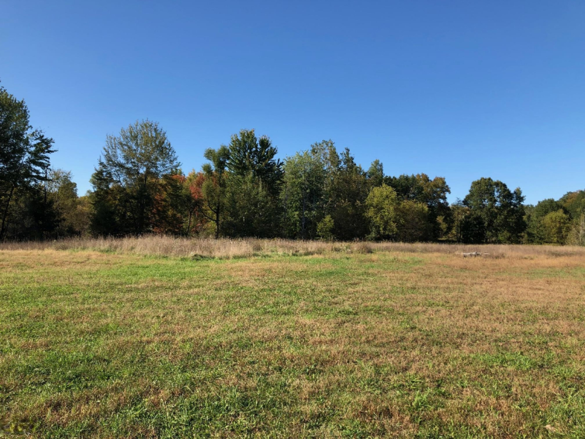 5101 Schaeffer Road Ionia, MI 48846 - Photo 2 of 13 IMG_0268