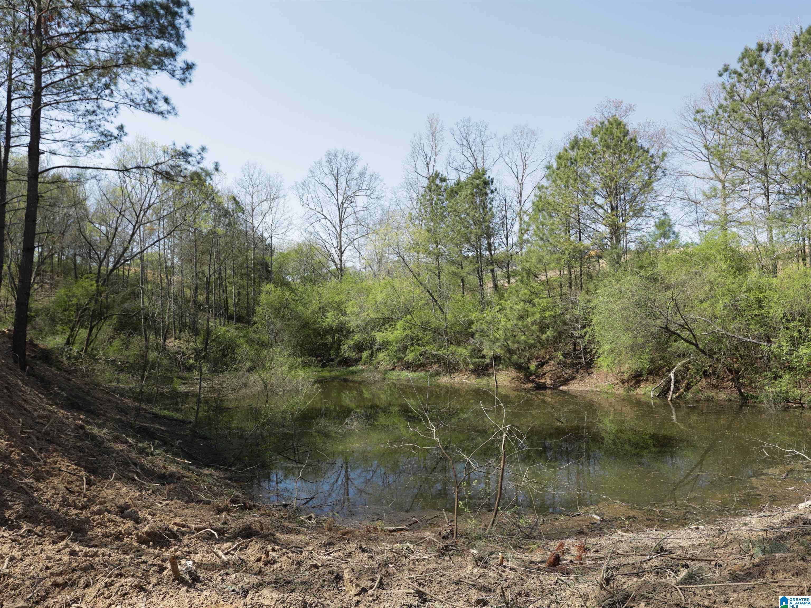 879 Timmerman Road Blountsville, AL 35031 - Photo 66 of 72
