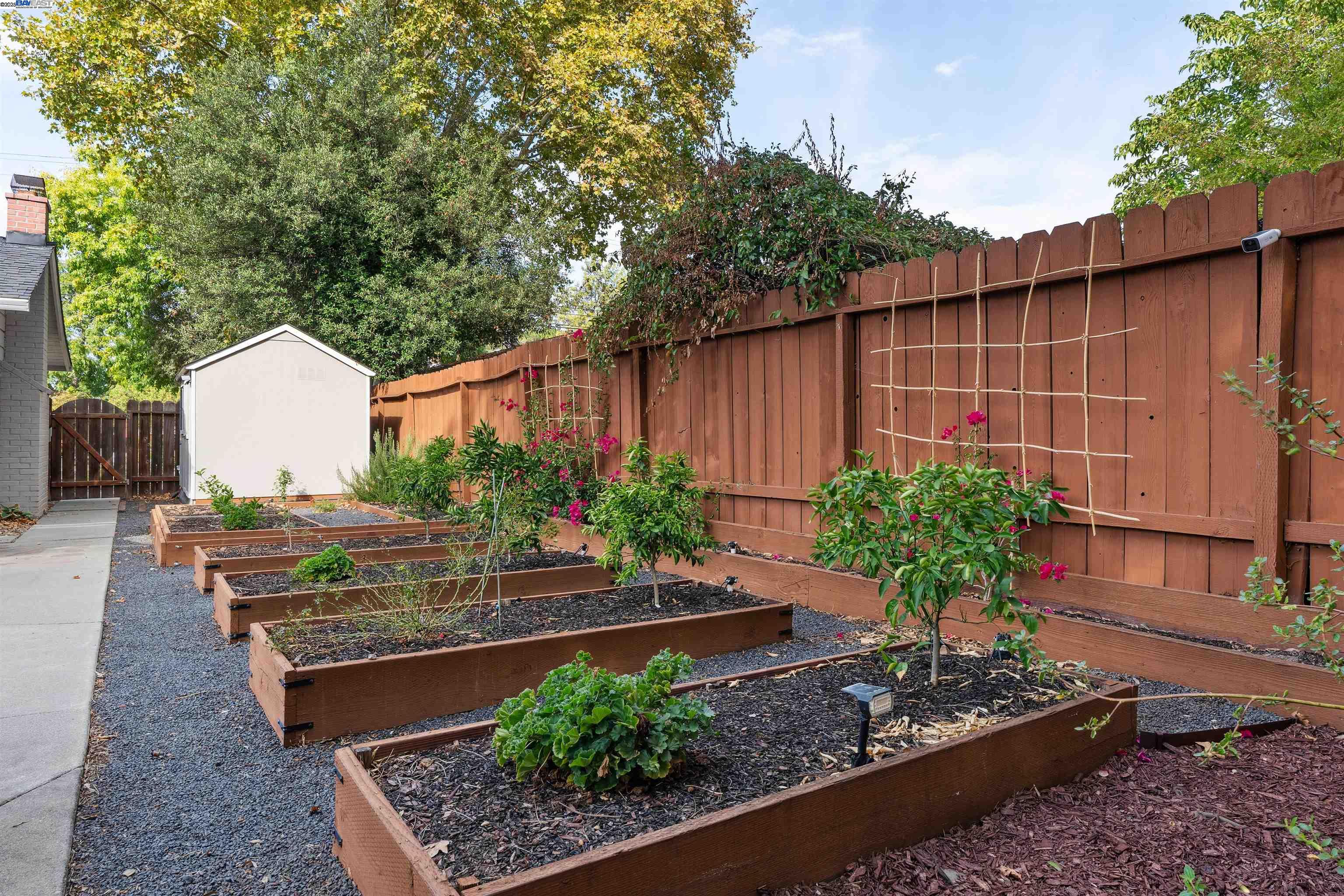 1230 Hale Drive Concord, CA 94518 - Photo 55 of 60 a view of a backyard with plants and outdoor seating