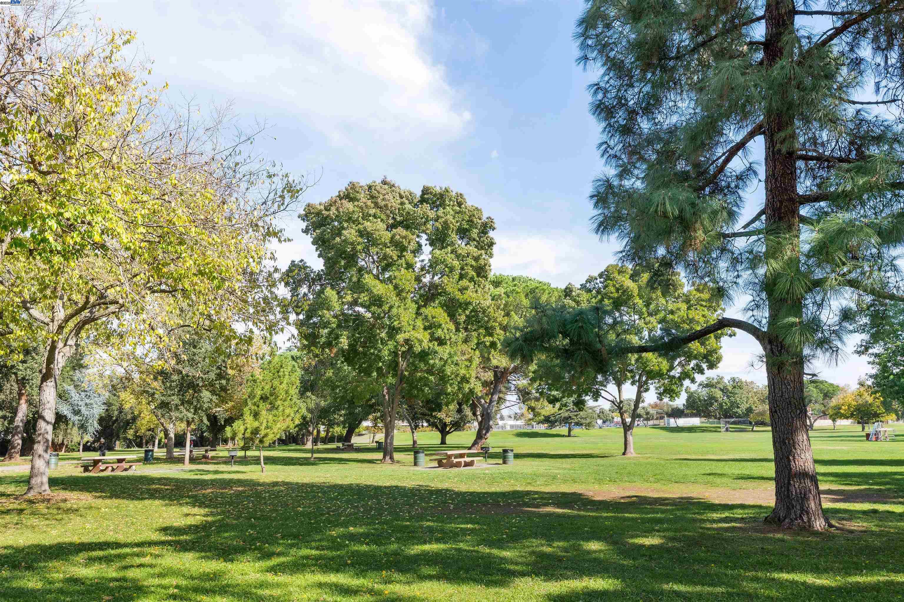 1230 Hale Drive Concord, CA 94518 - Photo 60 of 60 a big yard with lots of trees and plants